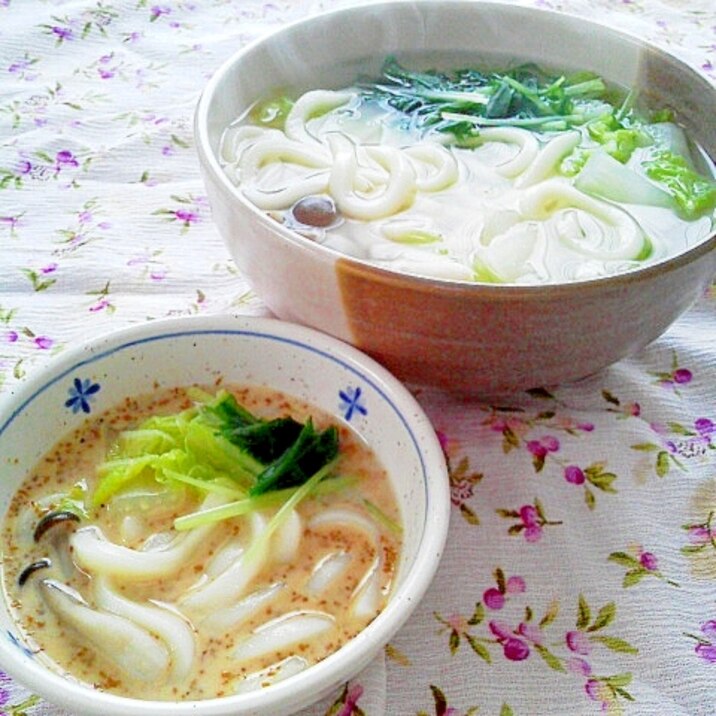 簡単胡麻だれで！野菜入り釜揚げうどん